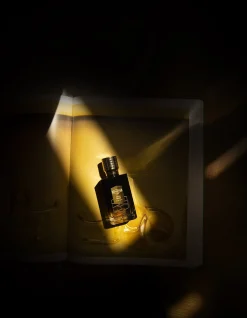 Atlas Fever EDP 100ml