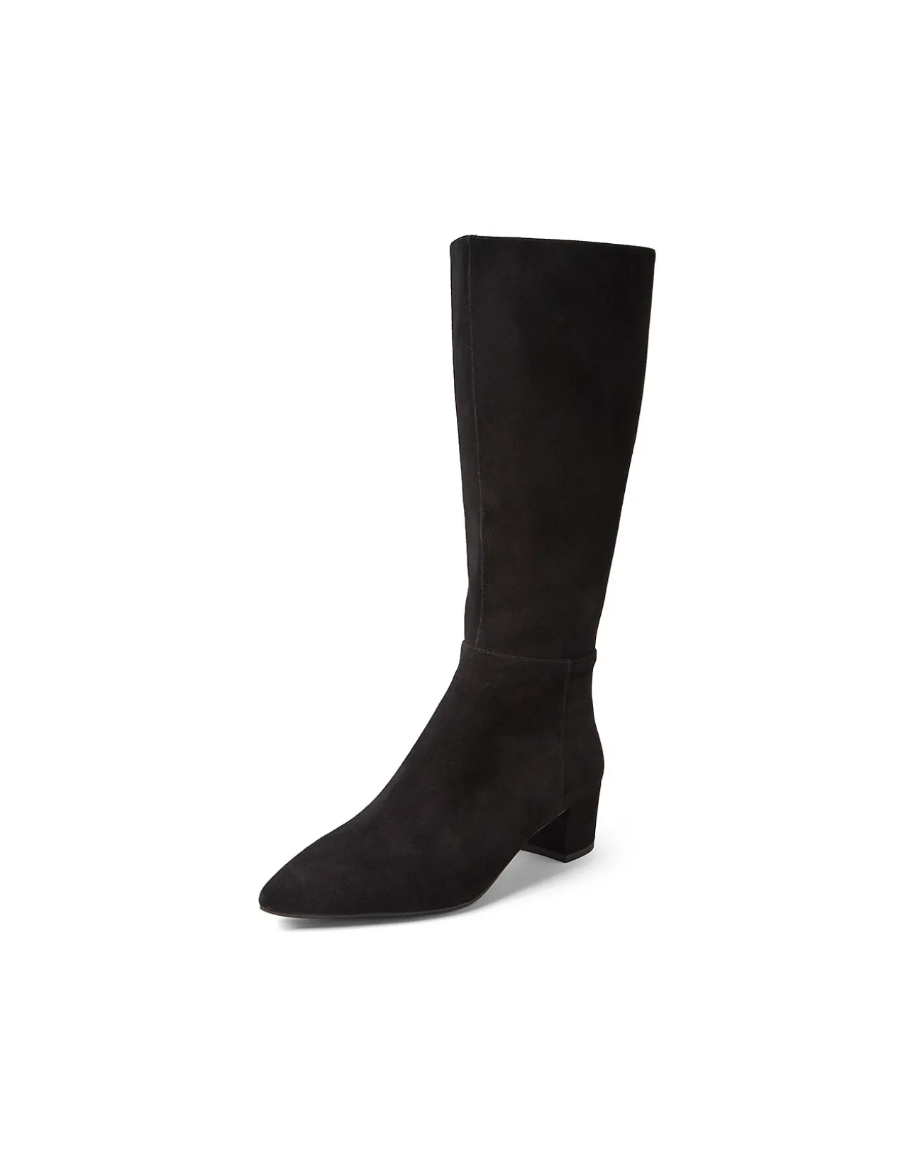 Axey Pointed Toe Suede Knee High Boots