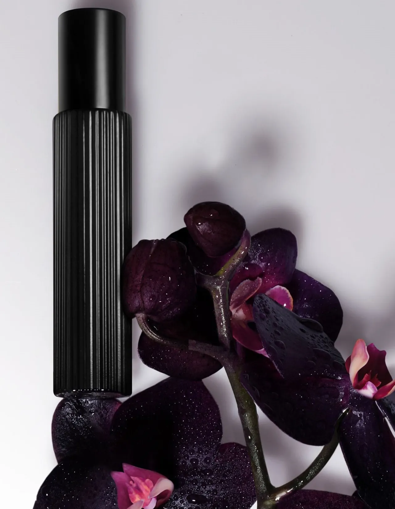 Black Orchid Eau de Parfum 10ml