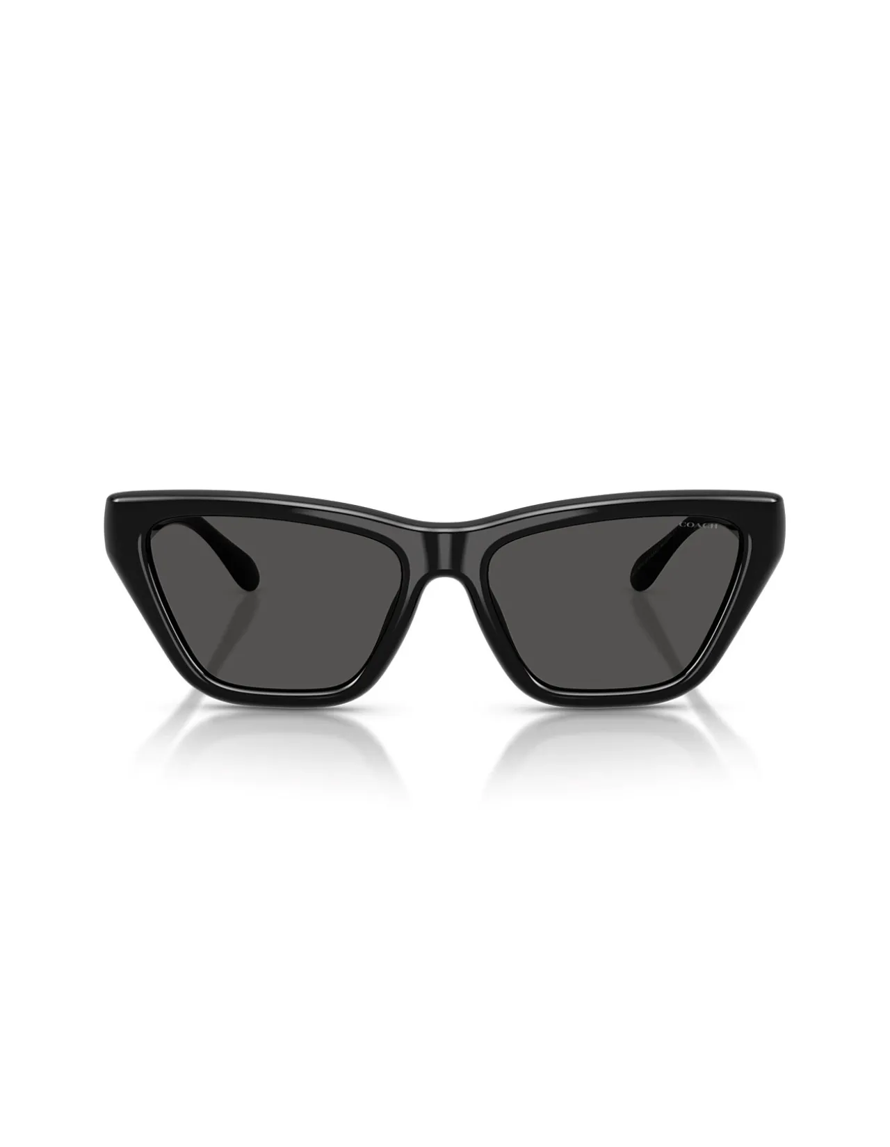 CDP33 BLACK GREY GRADIENT Sunglasses