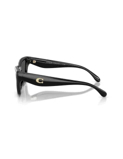 CDP33 BLACK GREY GRADIENT Sunglasses