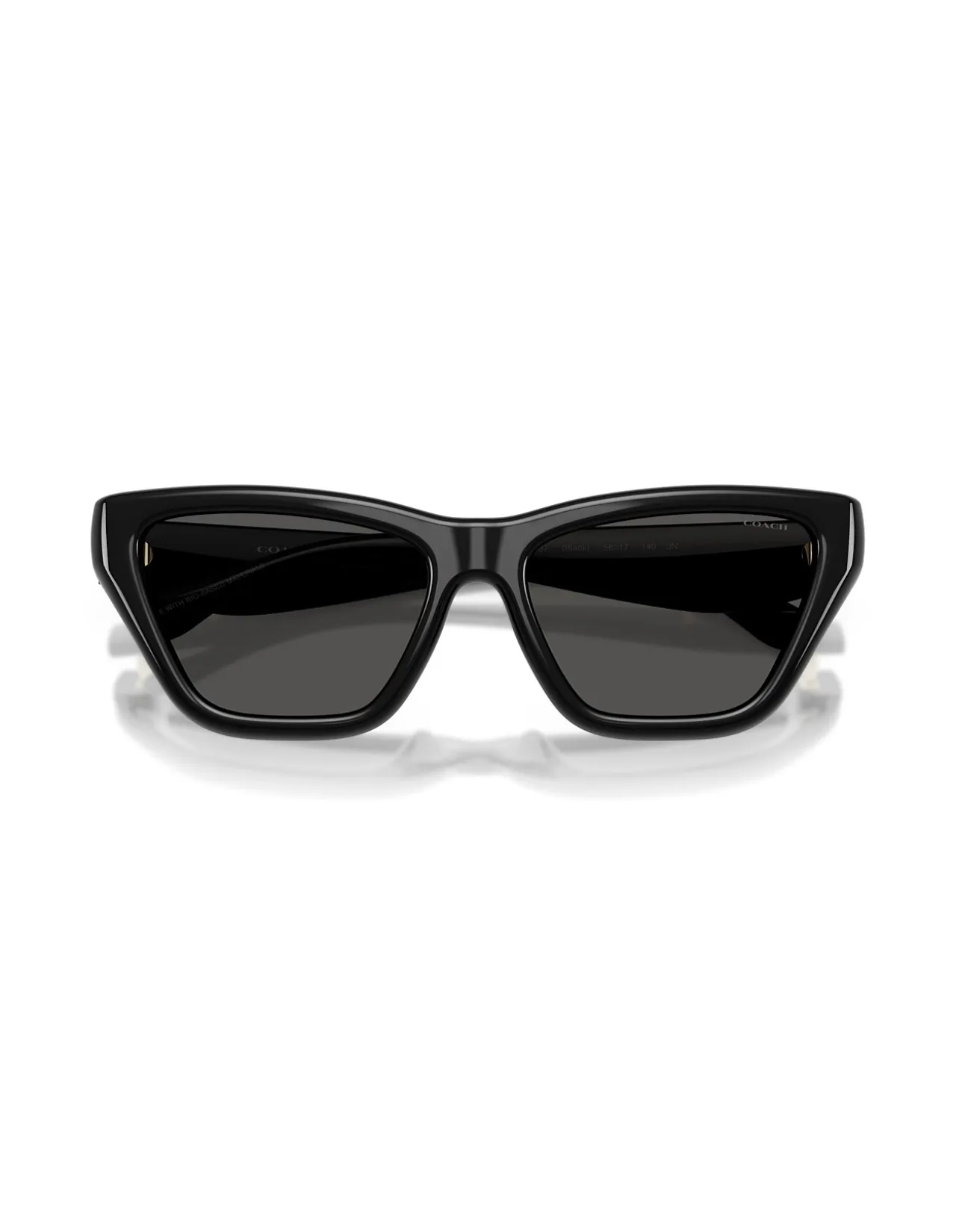 CDP33 BLACK GREY GRADIENT Sunglasses