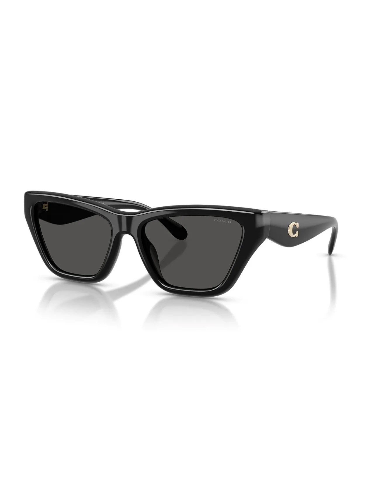 CDP33 BLACK GREY GRADIENT Sunglasses