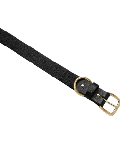 DISARM BELT