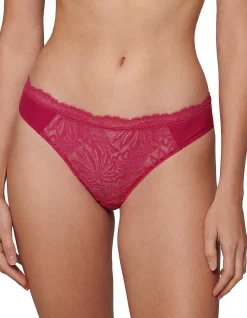EXOTICA PROGRESSIVE BIKINI BRIEF