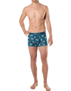 Flamingo Dream Cotton Trunks 3 Pack