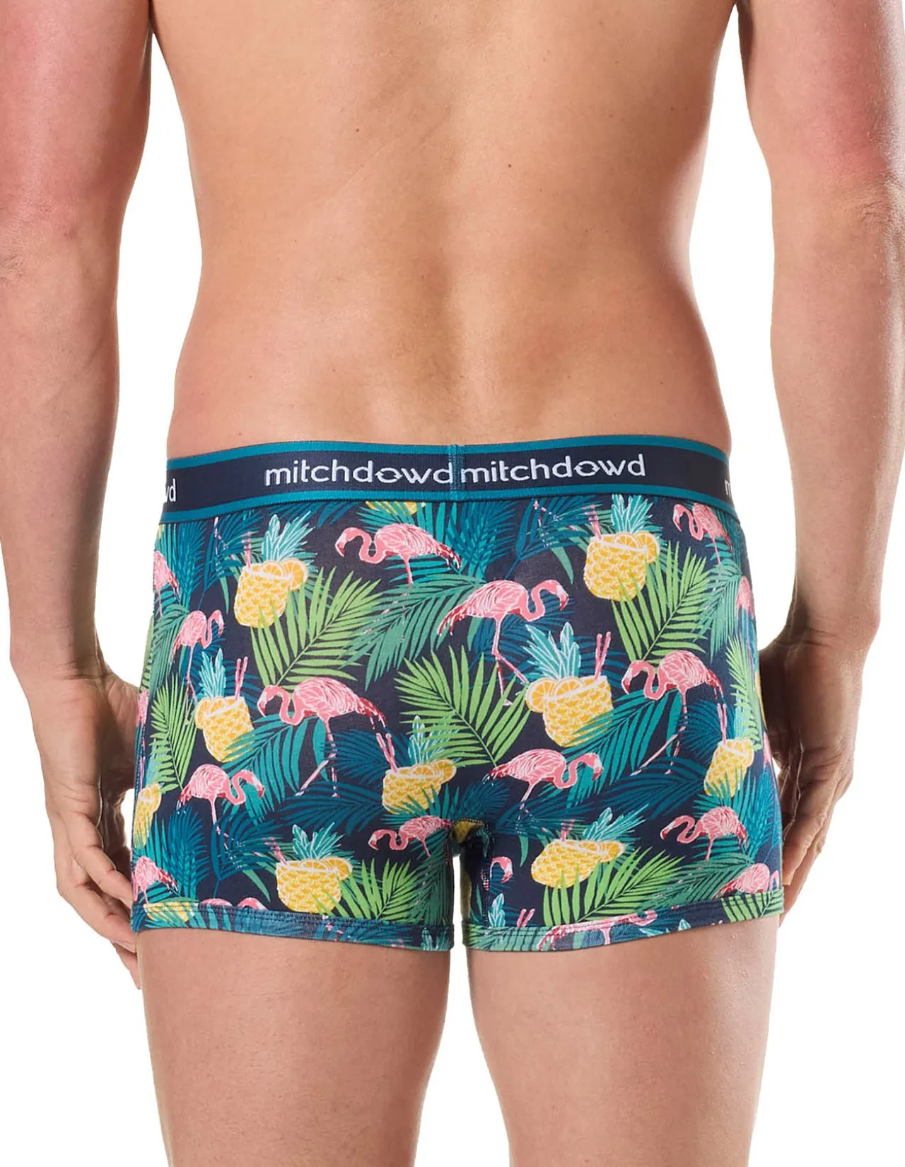 Flamingo Dream Cotton Trunks 3 Pack