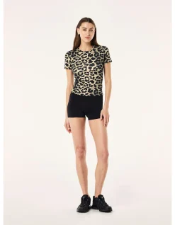 Foundation Short Sleeve T-Shirt