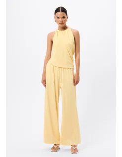 Free Falling Top