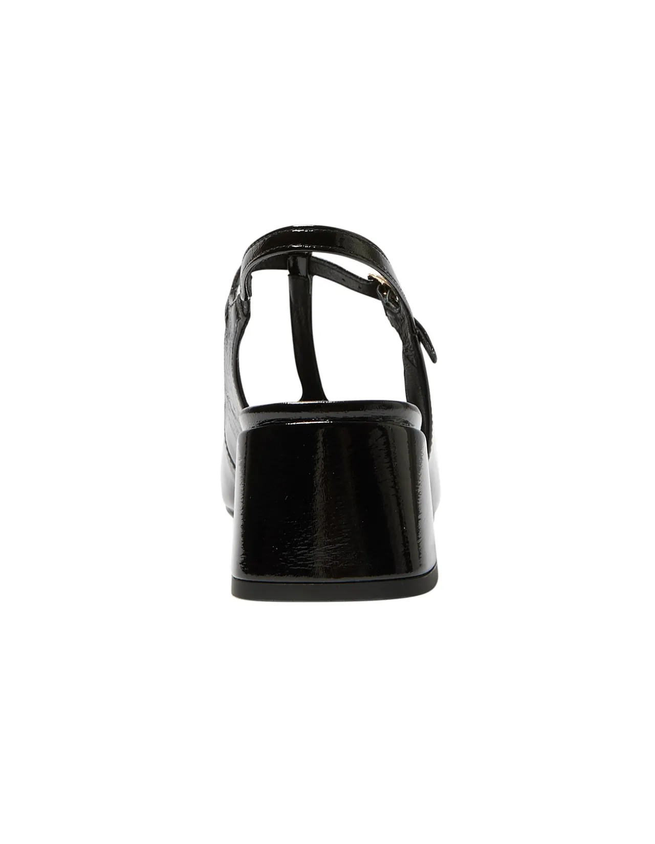 LOTUS PUMP