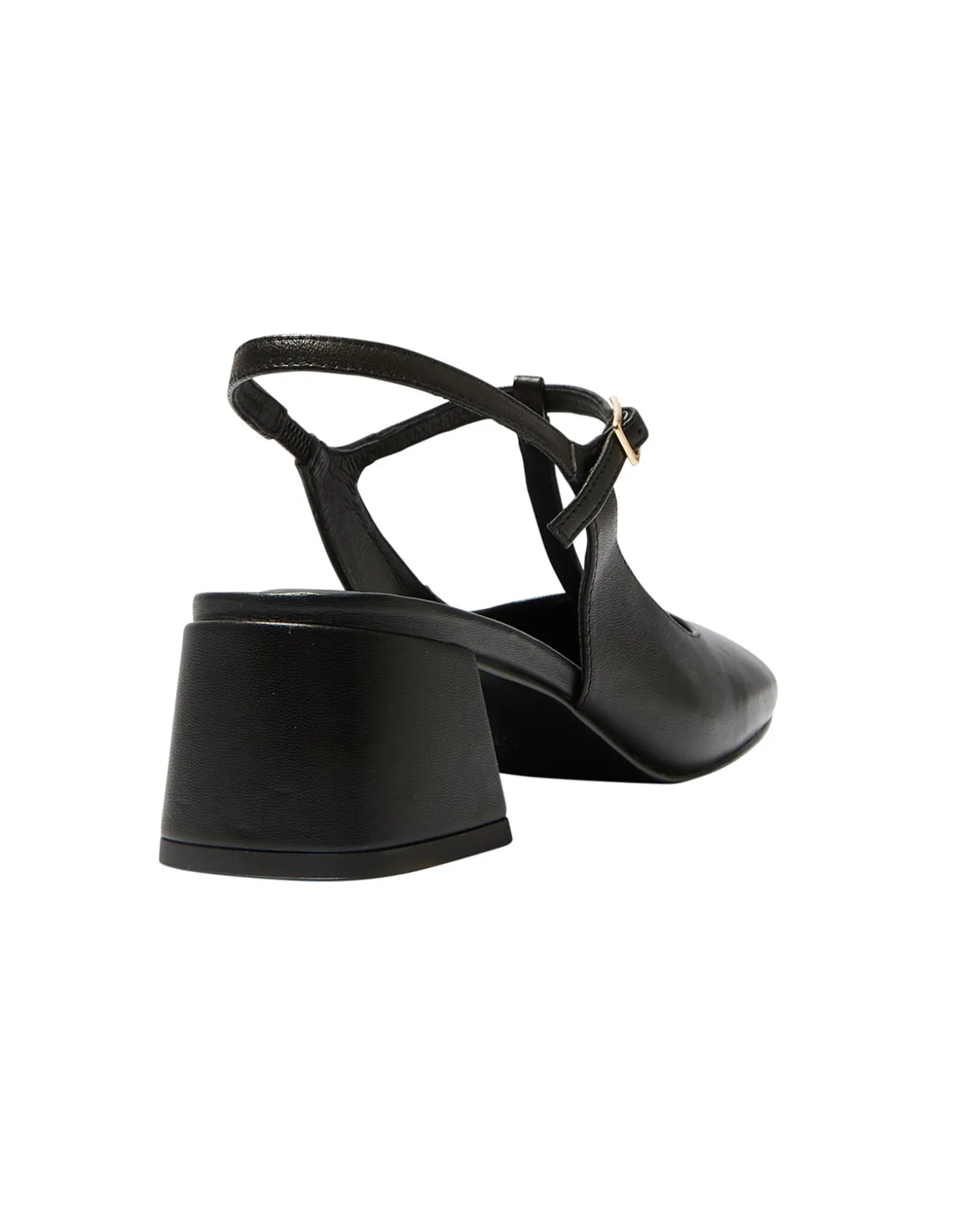 LOTUS PUMP