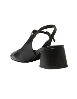 LOTUS PUMP