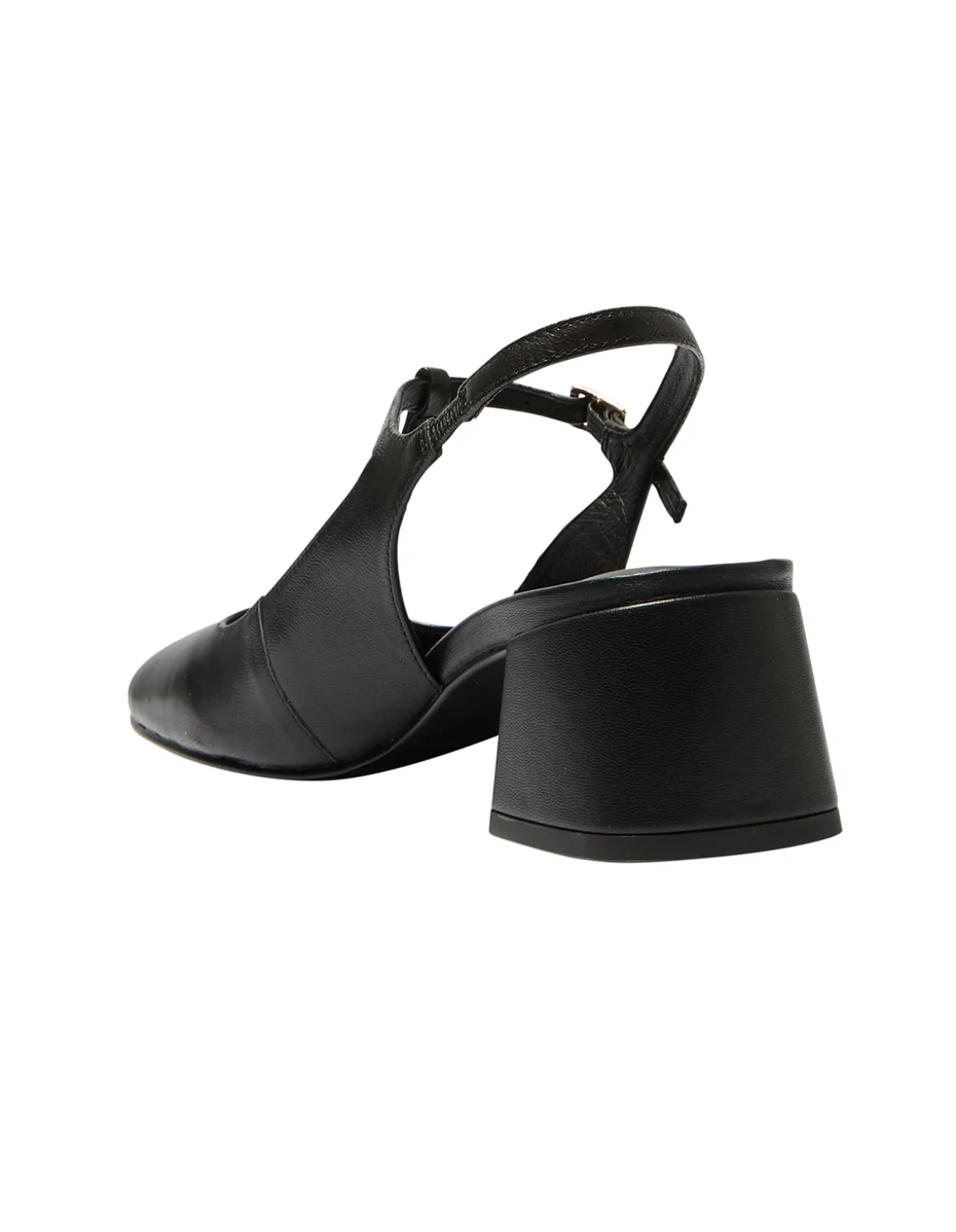 LOTUS PUMP