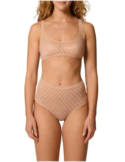 PLUME CONTROL BRIEF