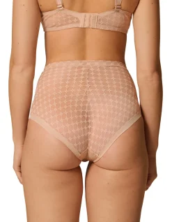 PLUME CONTROL BRIEF
