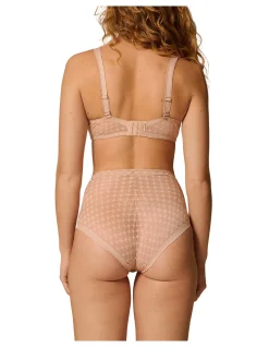 PLUME CONTROL BRIEF