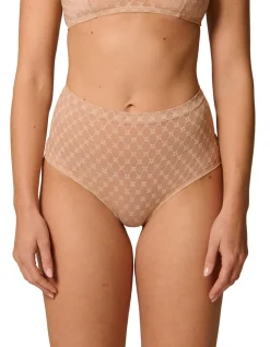 PLUME CONTROL BRIEF