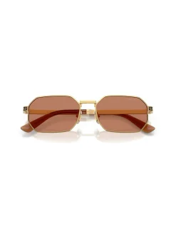Rectangle GOLD BROWN Sunglasses