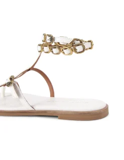 REGENT FLAT GLADIATOR