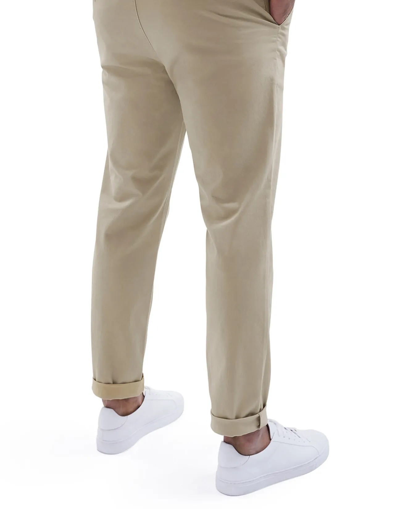 Regular Fit Chino Pant