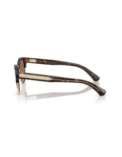 Round DARK HAVANA DARK BROWN Sunglasses