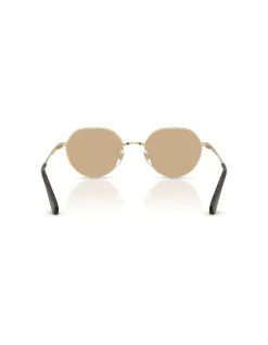 Round LIGHT GOLD DARK BROWN Sunglasses