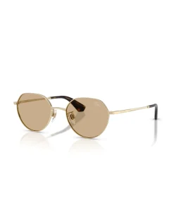 Round LIGHT GOLD DARK BROWN Sunglasses