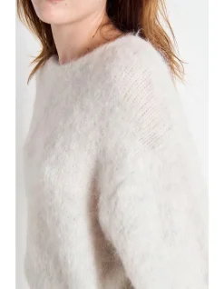 Round Neck Crop Knit