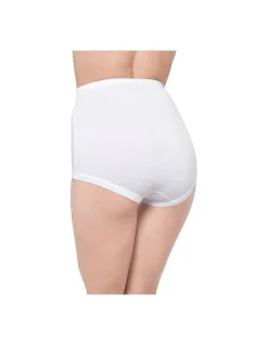 Satin Touch High Waist Brief