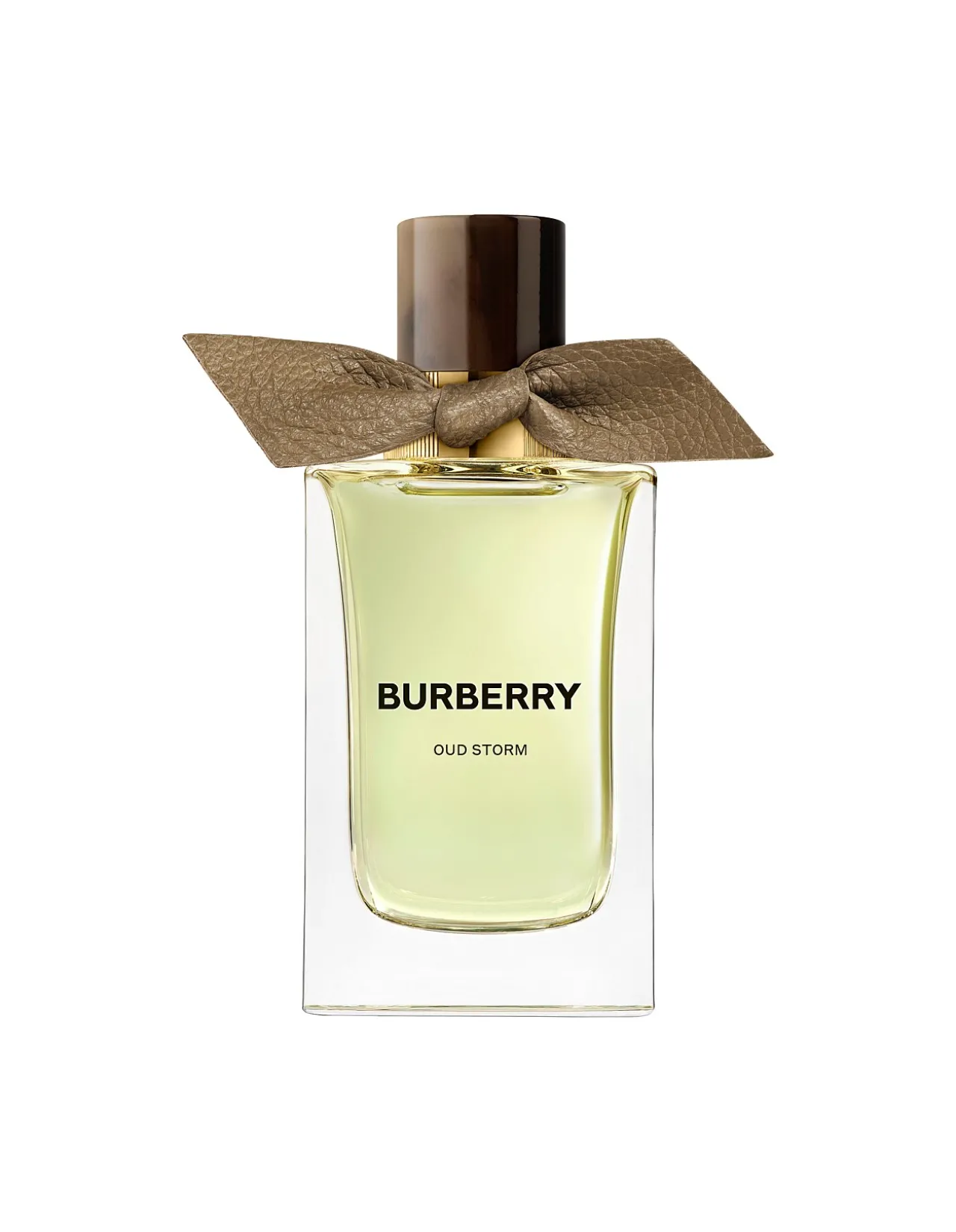 Signatures Extreme Botanicals Oud Storm Eau de Parfum Unisex 100ml