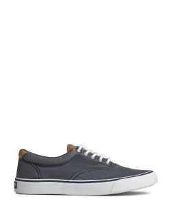 STRIPER II CVO SNEAKER