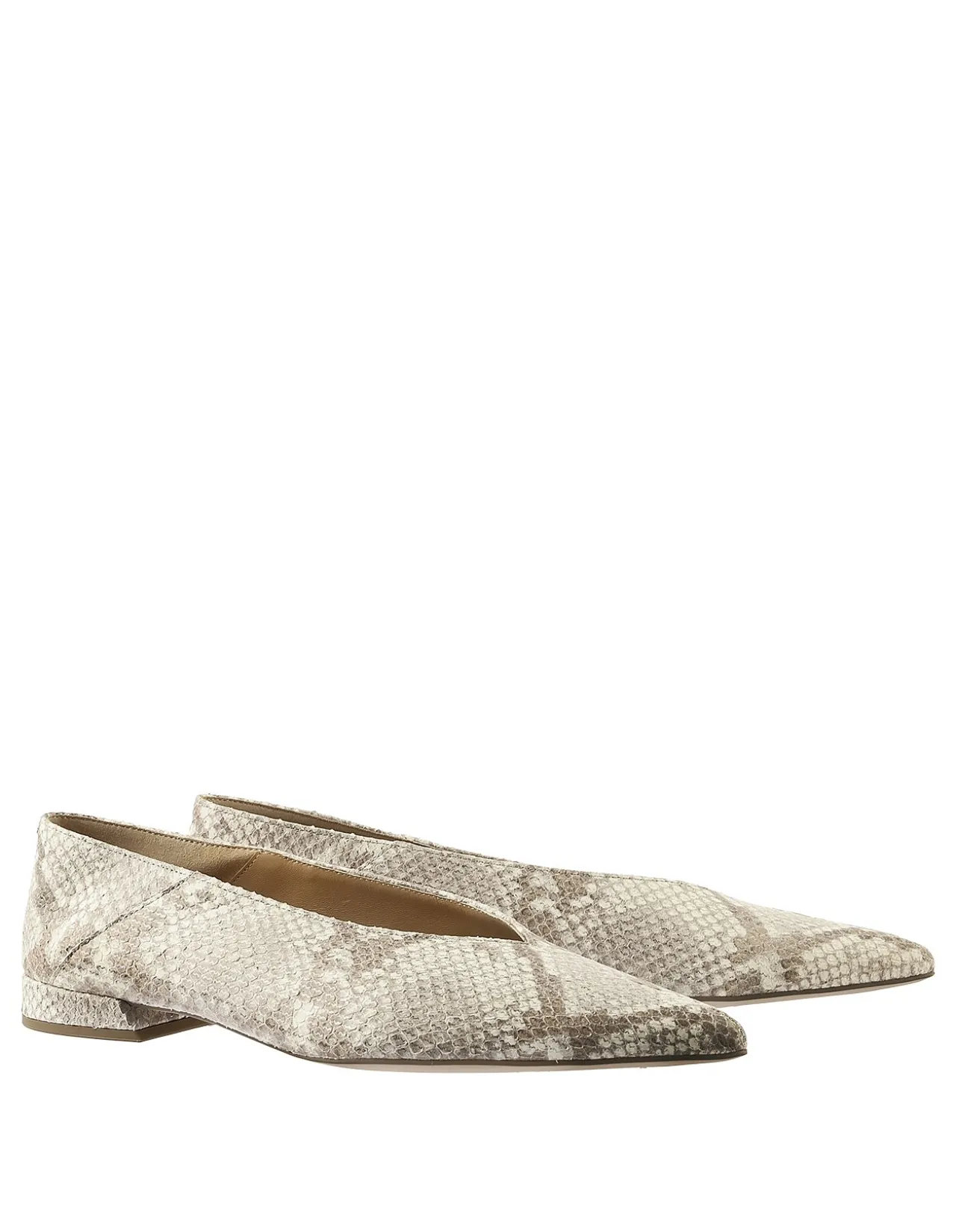 Tea Pointed Toe Snakeskin Ballerina Flat