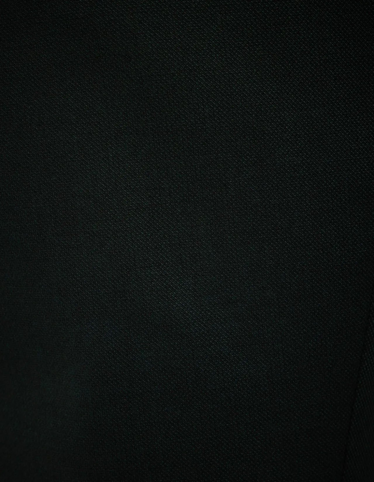 Textured Tailored Pant