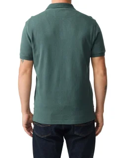 The Gunn Polo - Vine