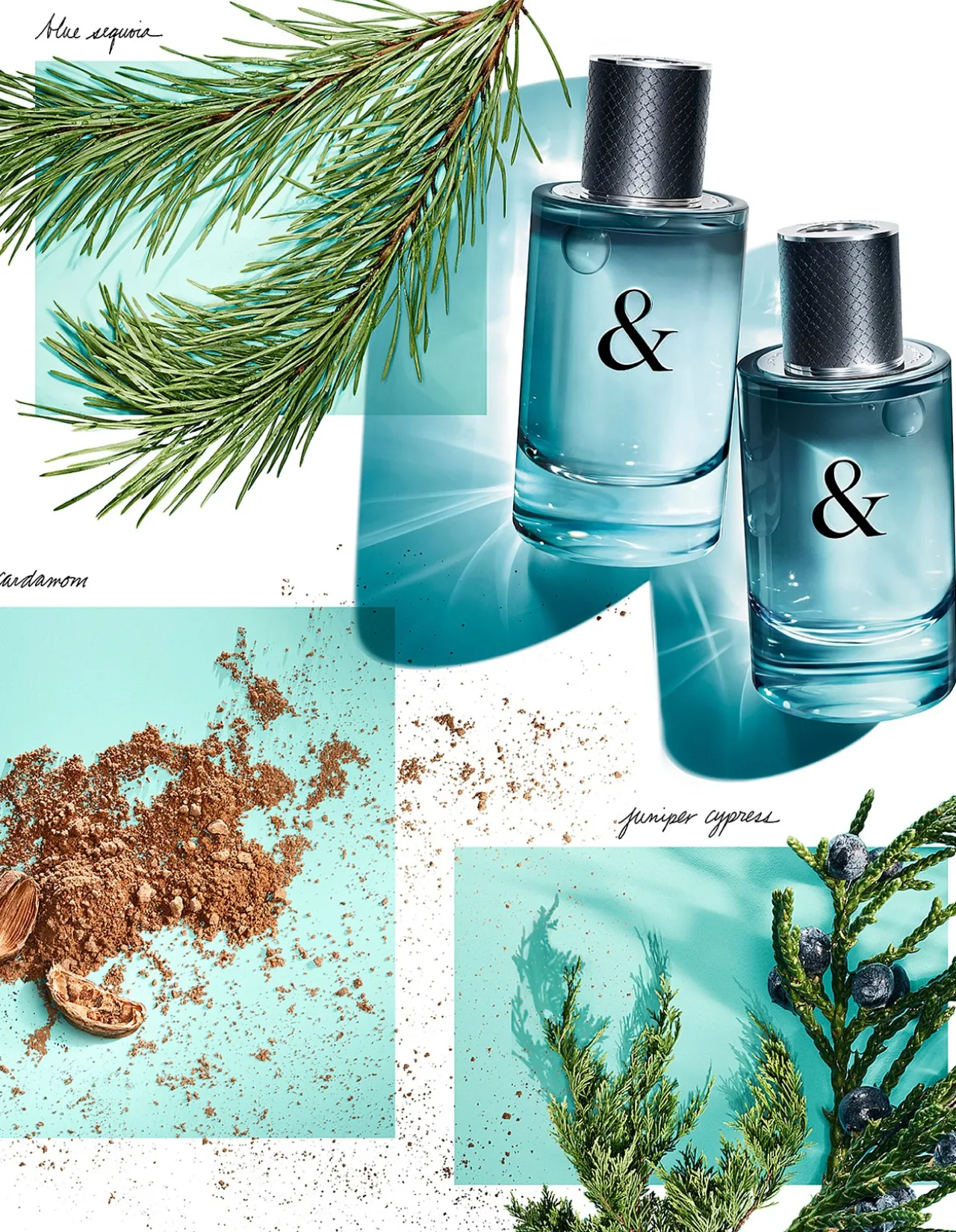 Tiffany & Love For Him EDT 50ML