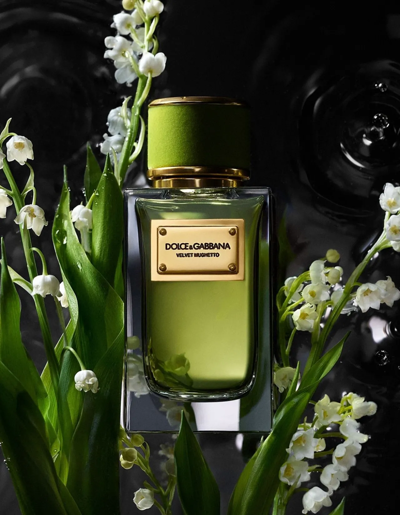 VELVET MUGHETTO EDP 100ML