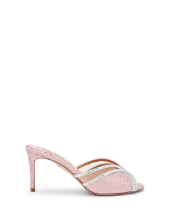WILD AURORA MULE 75