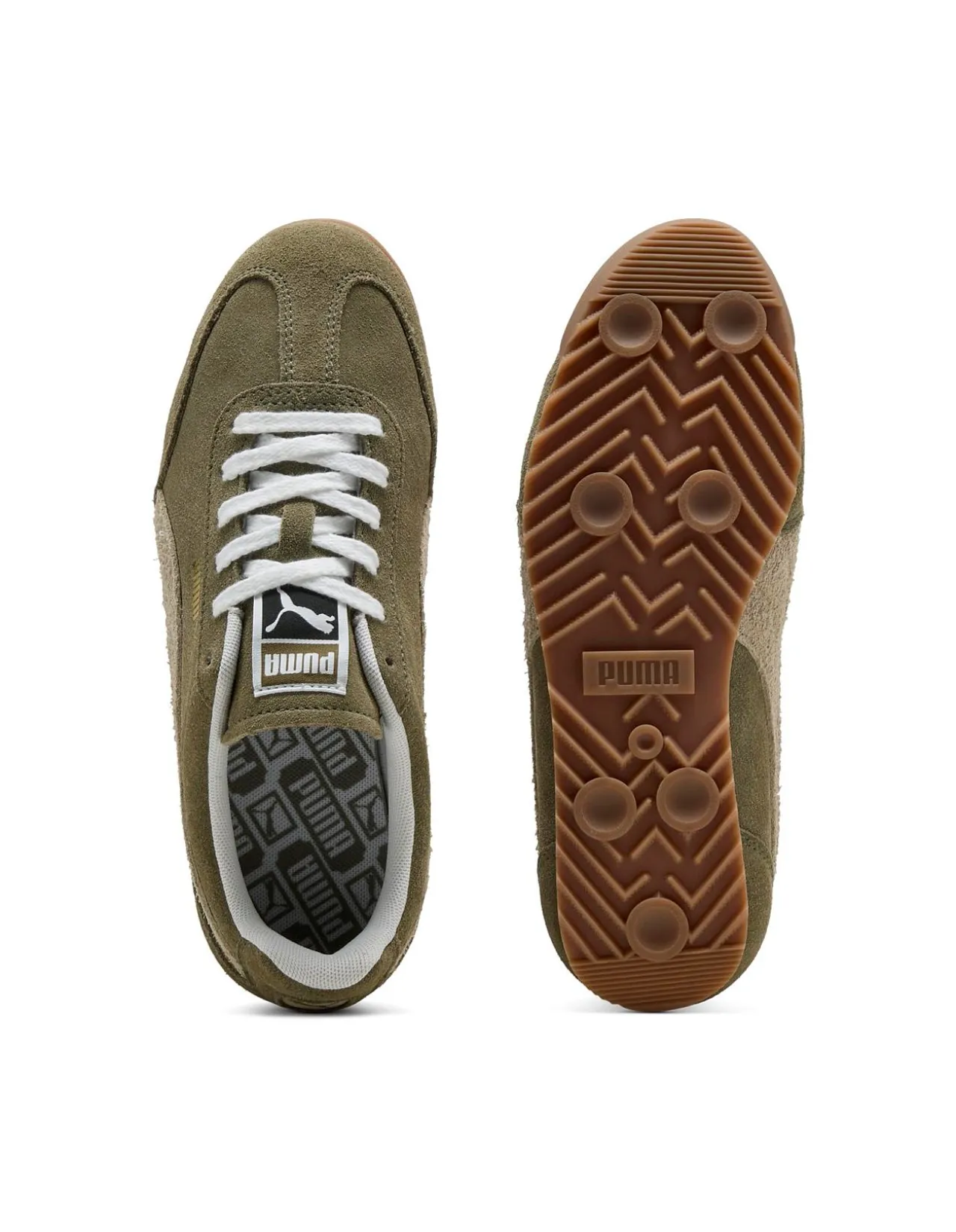 WOMEN'S Arizona SD SNEAKER