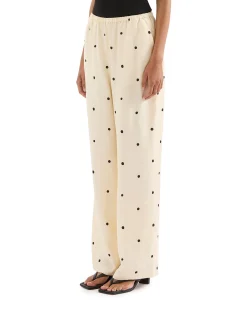 Xander Pant